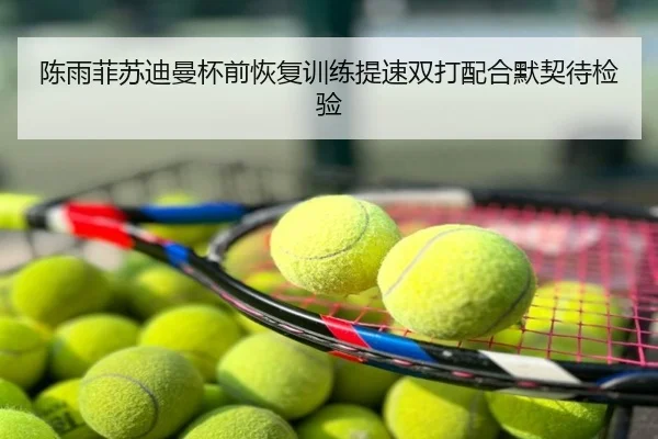 陈雨菲苏迪曼杯前恢复训练提速双打配合默契待检验